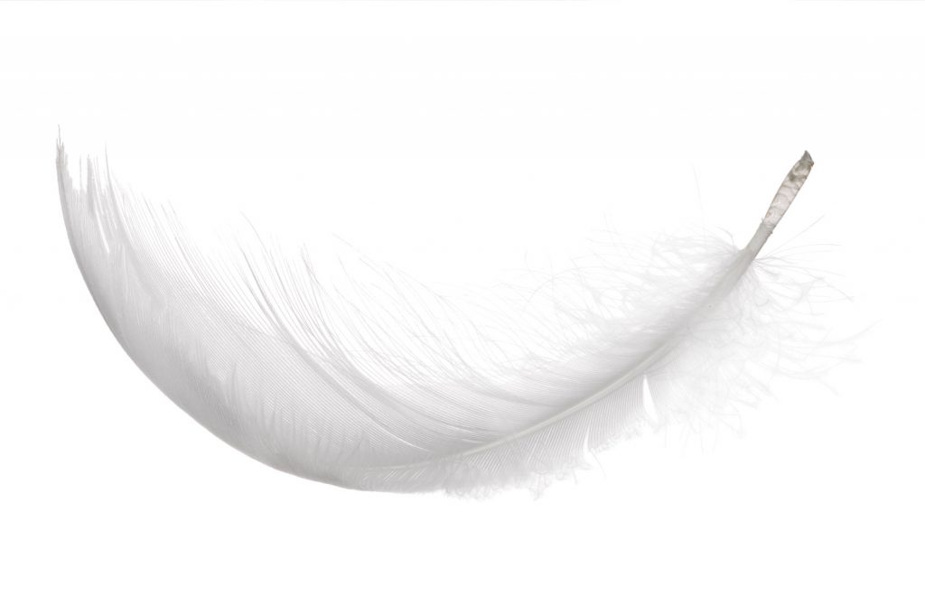 2—Piuma